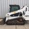 Bobcat