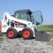 Bobcat