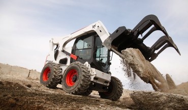 Bobcat