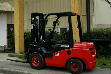 EP CAYMAN CPCD25T8