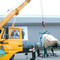 Камаз КС 55713-1В-4