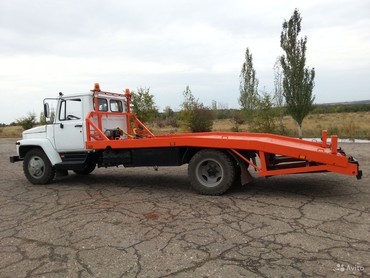 Газон 3309