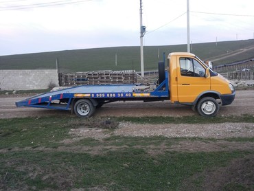Газель