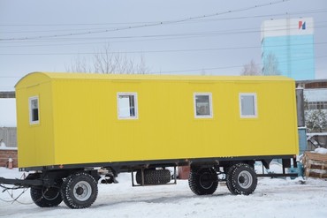 Кедр