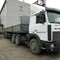 MAN TGS480