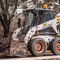 BobCat