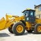LW 300