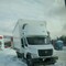 Газон NEXT