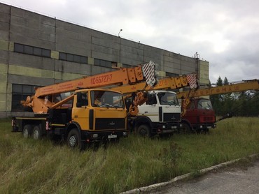Галичанин