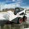 Bobcat S300
