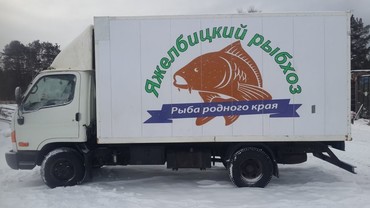 Hyundai HD 65