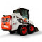 Bobcat