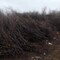 Станколес Дровосек