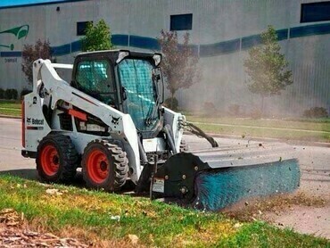 Bobcat