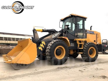 XCMG ZL30FV