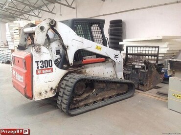 Bobcat 300