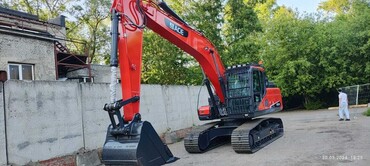 ACE 230