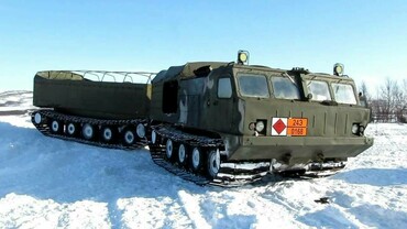Витязь ДТ10П