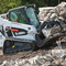 Bobcat
