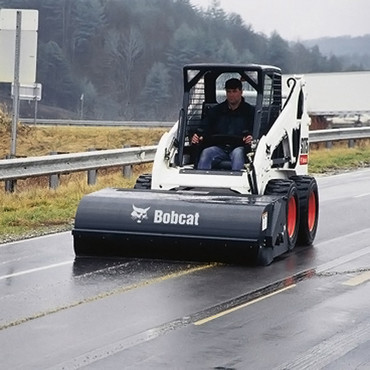 Bobcat