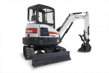 Bobcat