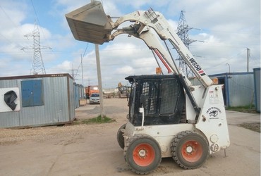 Bobcat