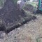 Kubota