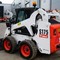 Bobcat 175