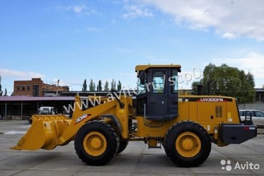  XCMG  LW 300FN