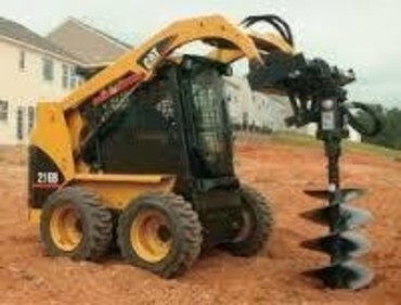 Bobcat