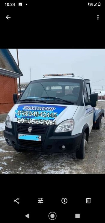 Газель