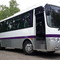 MERCEDES SPRINTER, YUTONG, HYUNDAI