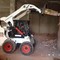 Bobcat