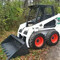 Bobcat