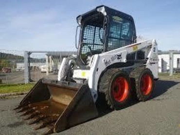 Bobcat