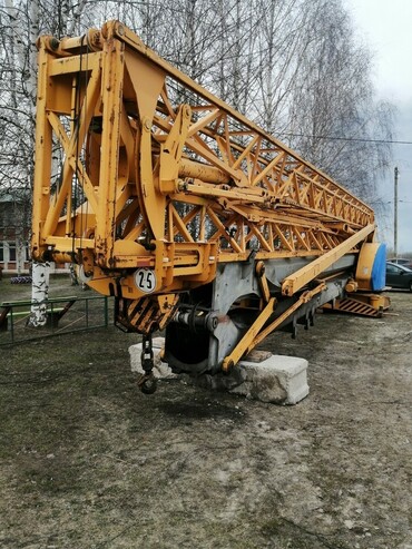 Potain IGO 50