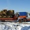 MAN, IVECO, Volvo