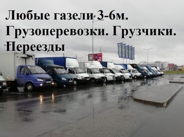 Газель
