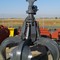 SM-220-660, Грейфер гидравлический для погрузчиков грейферных