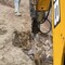 Экскаватор-погрузчик JCB 2024