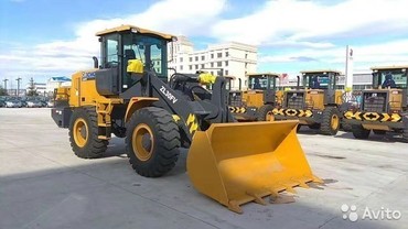  XCMG  ZL30FV 