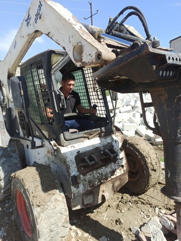 Bobcat