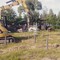 Cat 305
