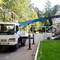 Isuzu-elf