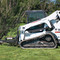 Bobcat