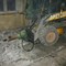Bobcat S300