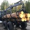 Тигер 800