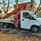 Газель Next