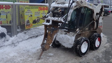 Bobcat